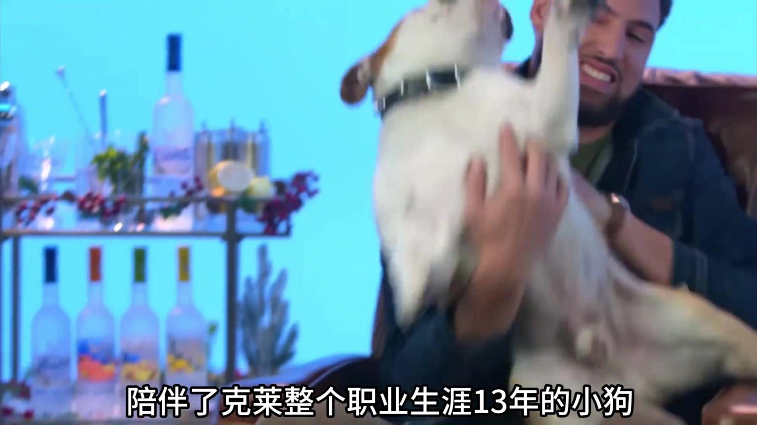 陪伴克萊13年的小狗去世了，不敢相信克萊得多么傷心